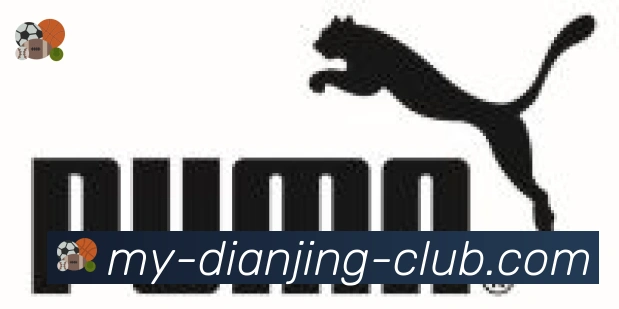 电竞竞猜合作伙伴